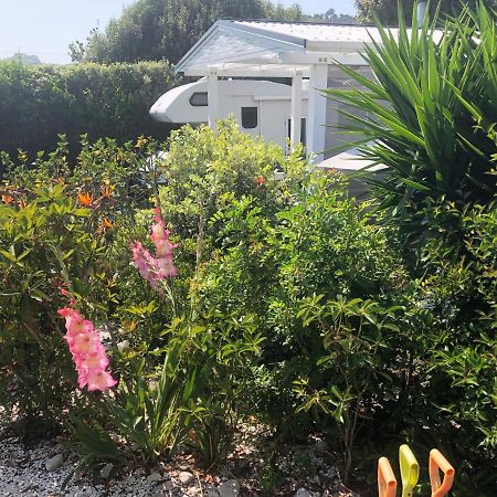 Hahei Getaway Apartment Exterior photo